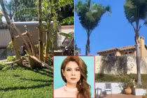 Vườn nhà Thanh Thảo ở Mỹ tan hoang do ảnh hưởng cháy rừng