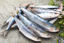 Loại cá dân dã chứa cả “vựa canxi”, ăn ngon, tốt cho sức khỏe 