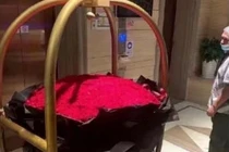 Sự thật ngã ngửa Dương Mịch được tình trẻ tặng 999 đóa hồng 