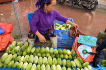 Dưa chuột siêu to khổng lồ xuống núi, đắt gấp 3 vẫn hút khách 