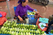 Dưa chuột siêu to khổng lồ xuống núi, đắt gấp 3 vẫn hút khách 