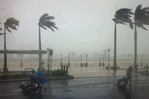 Hình ảnh bão số 11 tàn phá Đà Nẵng - Quảng Nam