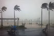 Hình ảnh bão số 11 tàn phá Đà Nẵng - Quảng Nam