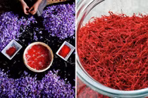 Dưỡng da từ nhuỵ hoa nghệ tây “có một không hai” của Hà Hồ