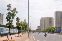 Hà Nội có thêm phố Trịnh Công Sơn, Mạc Thái Tổ