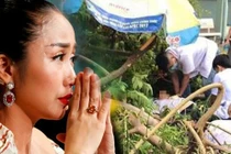 Ốc Thanh Vân đau lòng vụ cây phượng đổ khiến học sinh tử vong