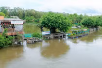 Ghé rừng tràm đẹp nhất miền Tây, nơi phim “Đất rừng phương Nam” bấm máy