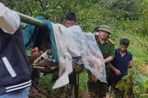 Hai nạn nhân được khiêng cáng đi bộ 15km vào viện cấp cứu
