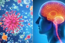 Hai người trong một gia đình tử vong nghi viêm màng não mô cầu