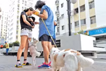 Con chó làm khó dân Sài Gòn!