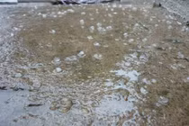 Sa Pa bất ngờ xuất hiện mưa đá