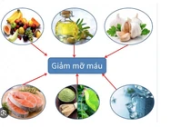 Top thực phẩm giúp giảm mỡ máu hiệu quả