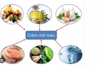 Top thực phẩm giúp giảm mỡ máu hiệu quả