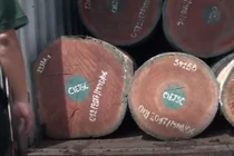 Video: Bất ngờ bên trong những container ngụy trang tinh vi ở cảng Cát Lái