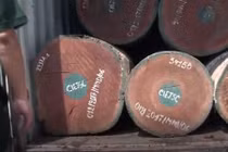 Video: Bất ngờ bên trong những container ngụy trang tinh vi ở cảng Cát Lái