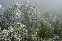 Không khí lạnh tràn về, nhiệt độ Mẫu Sơn 0,2 độ C