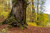 Bộ ảnh người mẫu khỏa thân tuyệt đẹp khiến người nhìn “mỏi mắt” tìm 