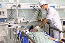 Cô gái trẻ sốc phản vệ nguy kịch vì bị ong bắp cày đốt