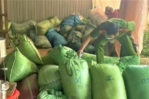 Vợ chồng phó viện trưởng kiểm sát huyện bị tố chiếm đoạt hàng chục tỷ đồng