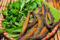 Loại cá được mệnh danh "sâm nước" giúp tăng ham muốn, bổ khí huyết