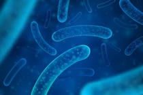 5 vi khuẩn có lợi với sức khỏe con người