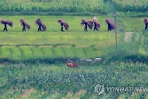 Ảnh lính Triều Tiên xả xì trét sau khi Hàn - Triều hạ nhiệt