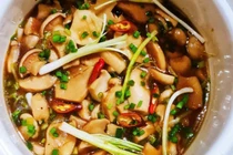 Loại nấm được ví như “bào ngư chay” bảo vệ gan, chống ung thư