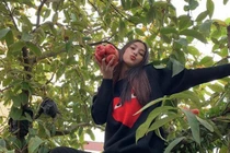 Hoa hậu Tiểu Vy hồn nhiên trèo cây hái quả khiến fan thích thú