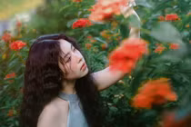 Mê đắm vườn mẫu đơn đỏ rực ở lưng chừng đồi ngoại thành Hà Nội