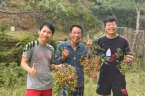 Đời thường giản dị của Đăng Dương, Trọng Tấn, Việt Hoàn