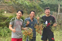 Đời thường giản dị của Đăng Dương, Trọng Tấn, Việt Hoàn