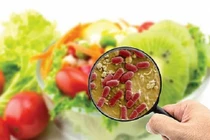 Sai lầm trong chế biến thực phẩm tăng nguy cơ ngộ độc