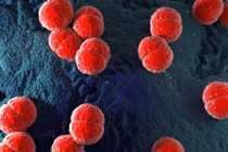 Bé trai nguy kịch do não mô cầu, cách phòng bệnh hiệu quả