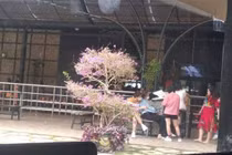 Ninh Dương Lan Ngọc - Chi Dân lộ ảnh ôm nhau, hẹn hò ở Đà Lạt