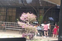 Ninh Dương Lan Ngọc - Chi Dân lộ ảnh ôm nhau, hẹn hò ở Đà Lạt