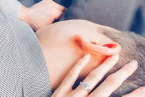 Đăng ảnh hôn phu ngủ trên đùi, fan lo Lan Khuê có bầu trước cưới