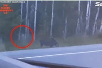 Video: Xuất hiện “quái vật” không mặt bí ẩn gây xôn xao ở Canada