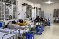 Hơn 500 người ngộ độc bánh mì: Cứu chữa kịp thời người bệnh