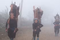 Tiết lộ nguyên nhân Sa Pa chuyển lạnh giữa mùa hè