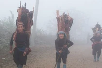 Tiết lộ nguyên nhân Sa Pa chuyển lạnh giữa mùa hè