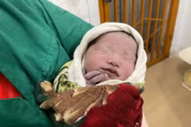 Sản phụ ở Lào Cai đi bộ 40km đến bệnh viện sinh con