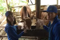 Cuộc đua kỳ thú Đỗ Mỹ Linh tham gia bị khán giả chê dữ dội