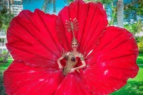 Hoàng Thùy loại hoa dâm bụt, đối thủ Miss Universe dùng ý tưởng này lại hot