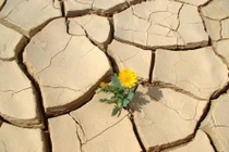 Phật pháp nhiệm mầu