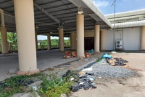 Chợ đầu mối xây 12,6 tỷ bỏ hoang, tốn 3 triệu/tháng canh giữ