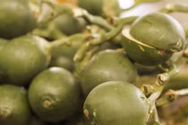 3 loại trái cây chớ ăn vì dễ “đánh thức” tế bào ung thư