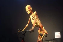 Giới họa sĩ nói gì về triển lãm cơ thể người gây tranh cãi