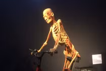 Giới họa sĩ nói gì về triển lãm cơ thể người gây tranh cãi