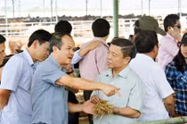 Bầu Đức muốn nuôi bò, Hà Tĩnh khảo sát 6 huyện tìm đất