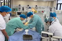 Người đàn ông bị uốn ván nguy kịch vì cọc tre đâm vào tay